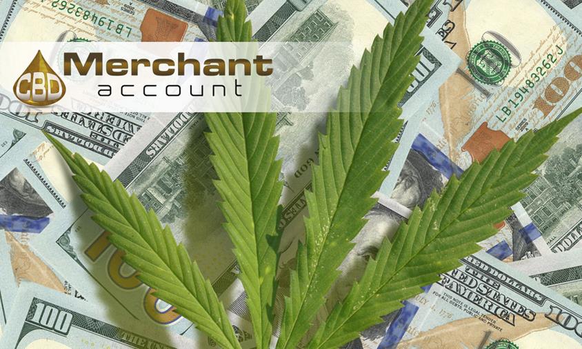 Learn about technological integration options for cannabis payments