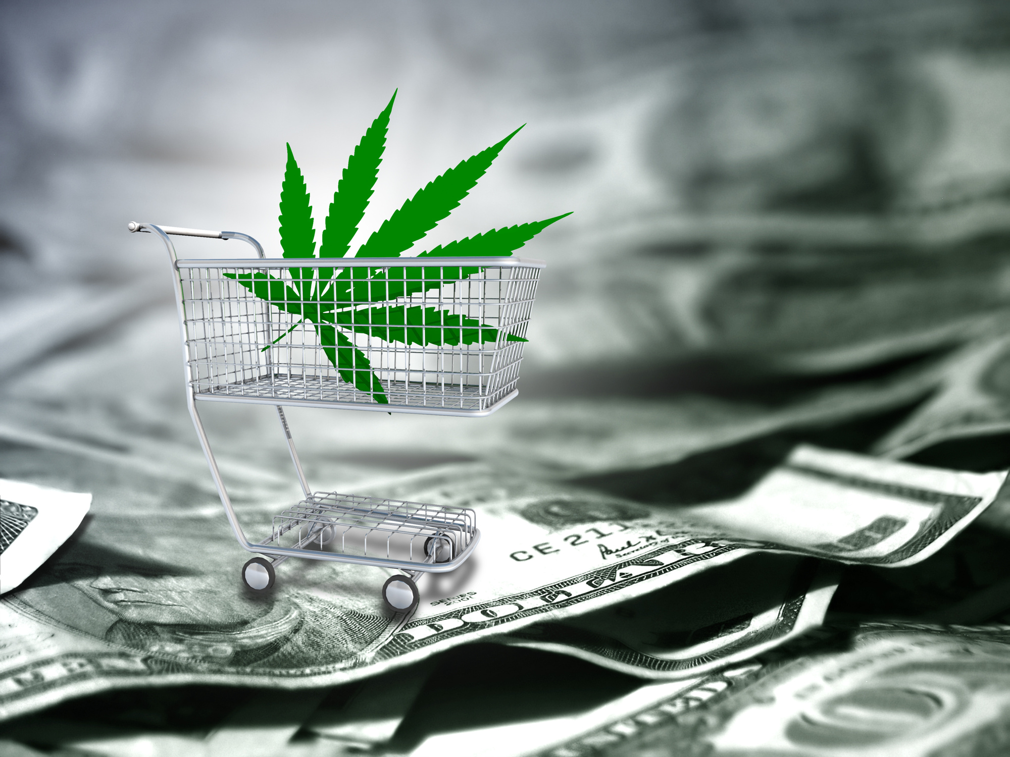 Explore technological advancements in CBD payment processing discussed on the blog